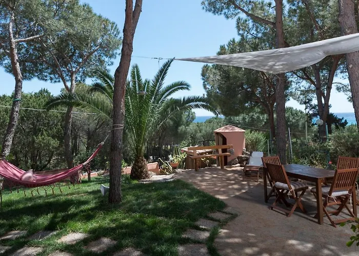 公寓 Le Sunrise - A 350 Mt Dal Mare E Con Giardino Privato 卡拉·利贝罗托